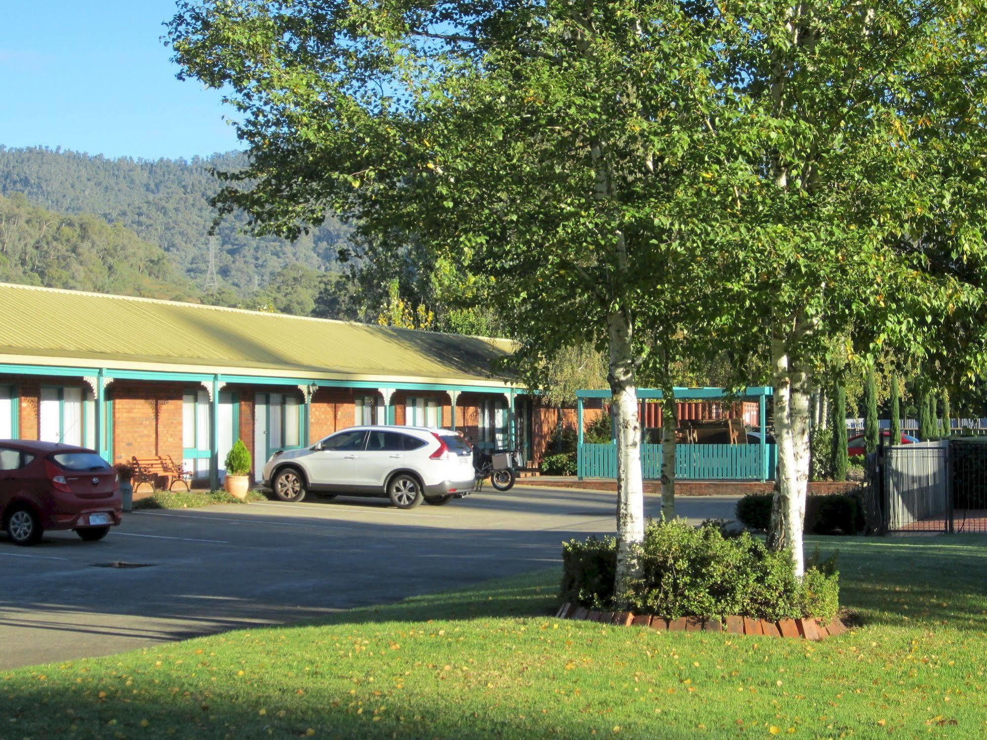 Snowgum Motel Mount Beauty Ngoại thất bức ảnh