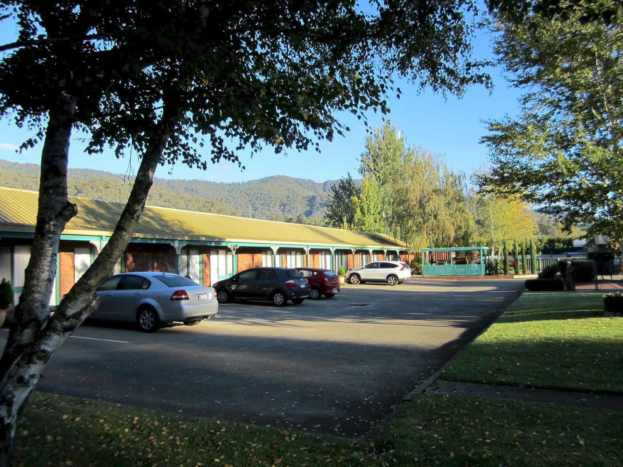 Snowgum Motel Mount Beauty Ngoại thất bức ảnh